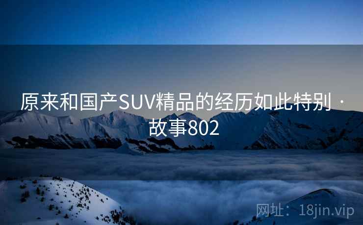 原来和国产SUV精品的经历如此特别 · 故事802 第2张 原来和国产SUV精品的经历如此特别 · 故事802 第2张