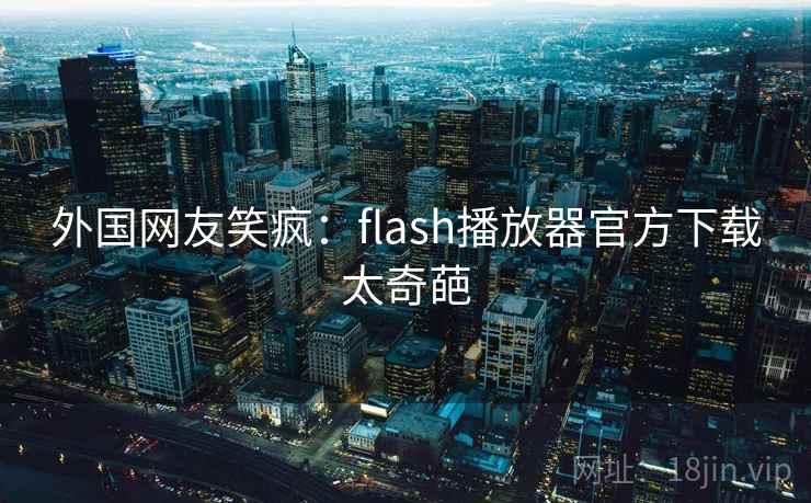 外国网友笑疯：flash播放器官方下载太奇葩  第1张