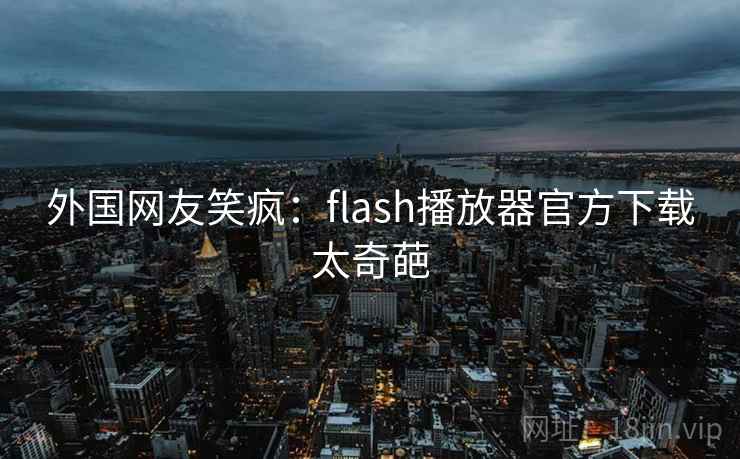 外国网友笑疯：flash播放器官方下载太奇葩  第2张