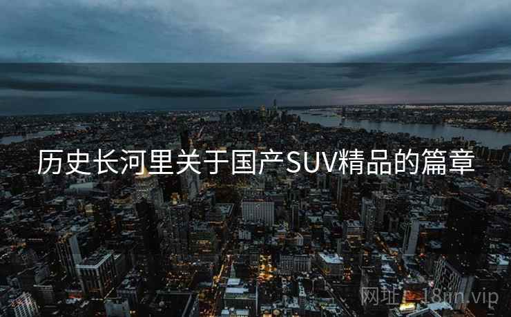 历史长河里关于国产SUV精品的篇章  第1张