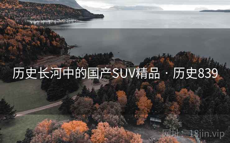 历史长河中的国产SUV精品 · 历史839 第1张 历史长河中的国产SUV精品 · 历史839 第1张