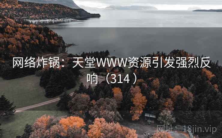 网络炸锅：天堂WWW资源引发强烈反响（314 ）  第1张